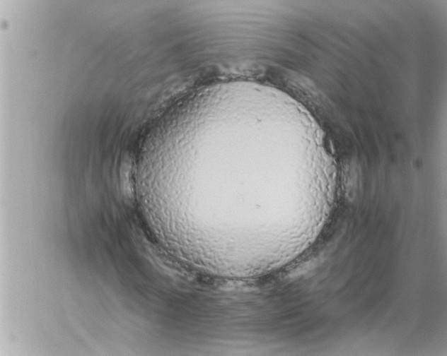 X0000057100770200510071936