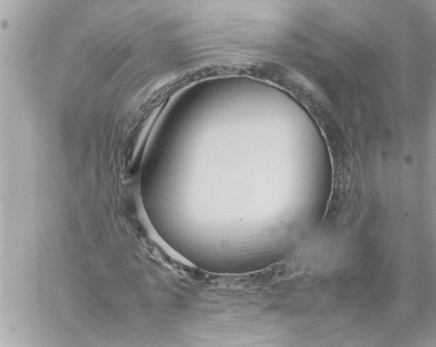 X0000057100773200510071936