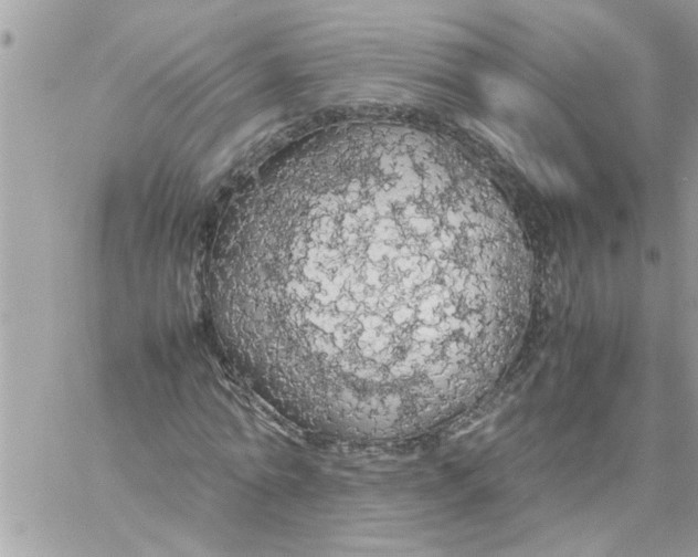 X0000057100774200510071936