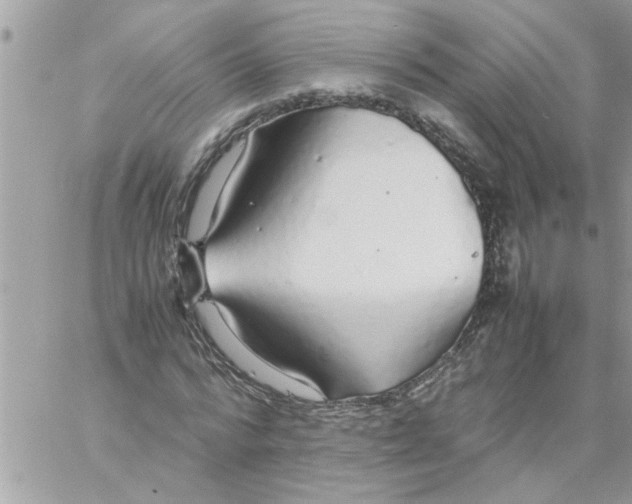 X0000057100776200510071936