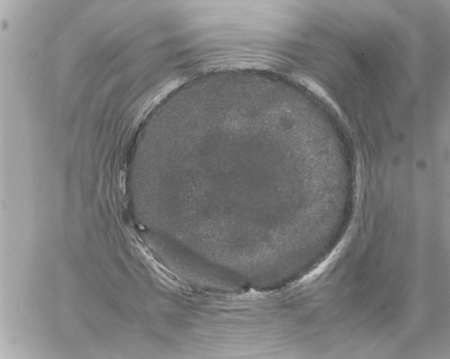 X0000057100777200510071936