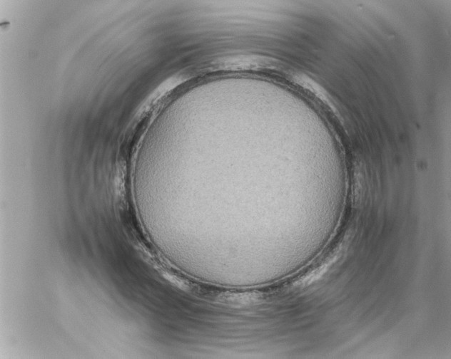 X0000057100778200510071936