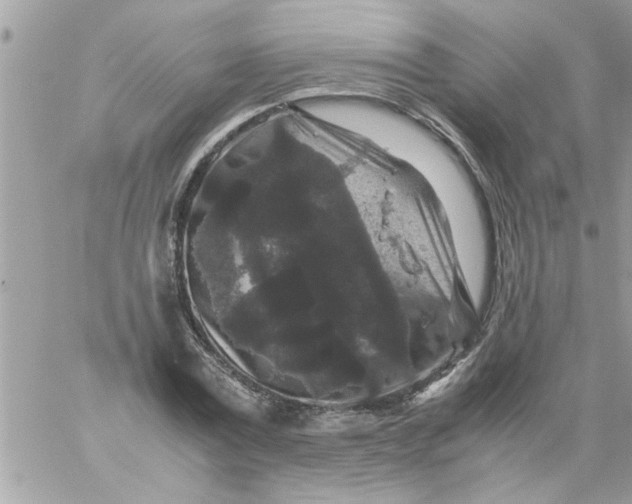 X0000057100779200510071936