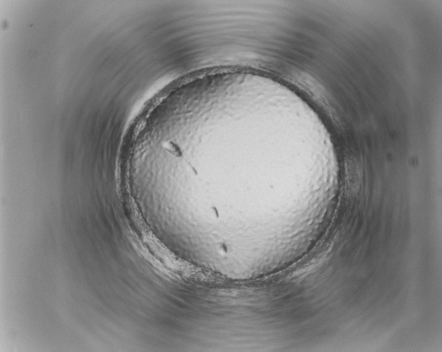 X0000057100780200510071936