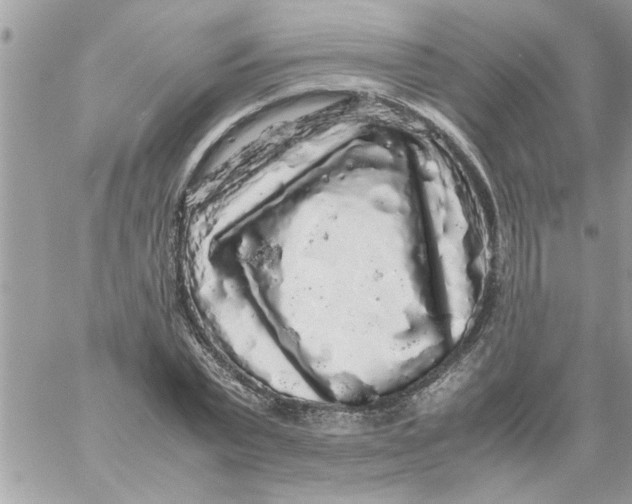 X0000057100783200510071936