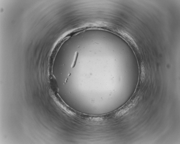 X0000057100784200510071936