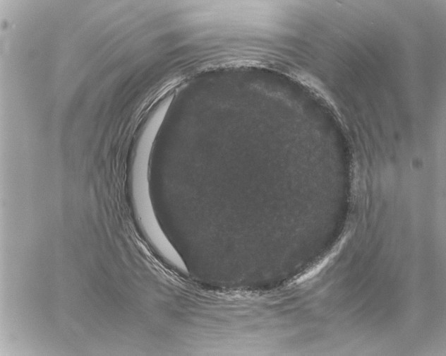 X0000057100785200510071936