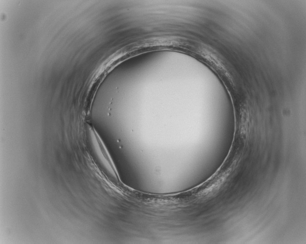 X0000057100786200510071936