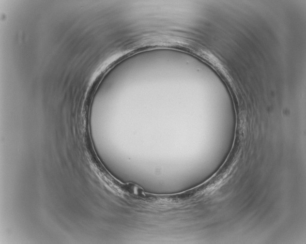 X0000057100787200510071936