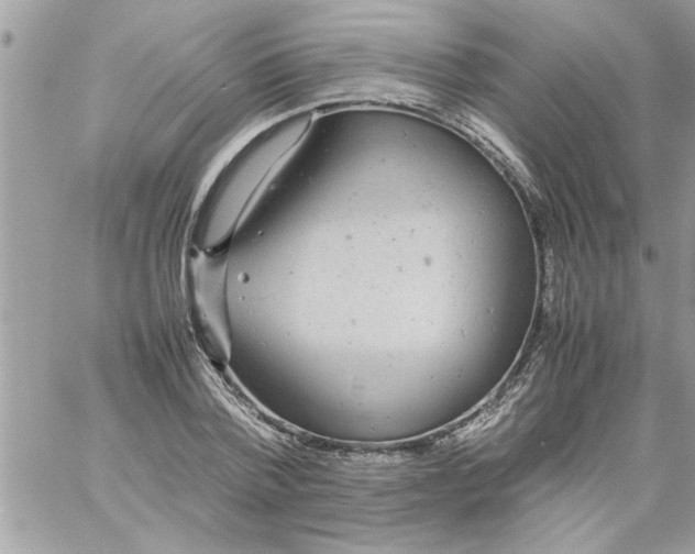 X0000057100788200510071936