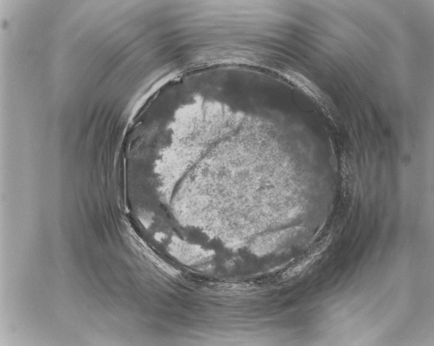 X0000057100790200510071936