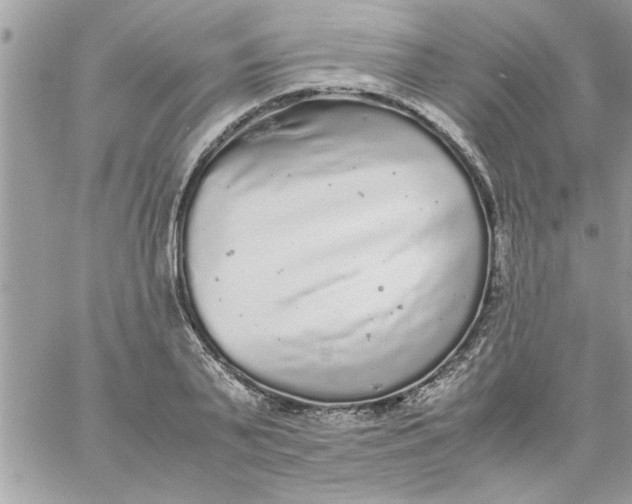 X0000057100791200510071936