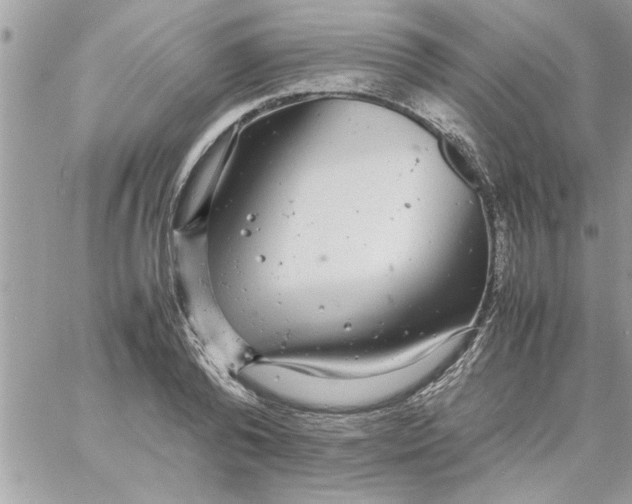 X0000057100792200510071936