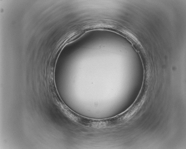 X0000057100793200510071936