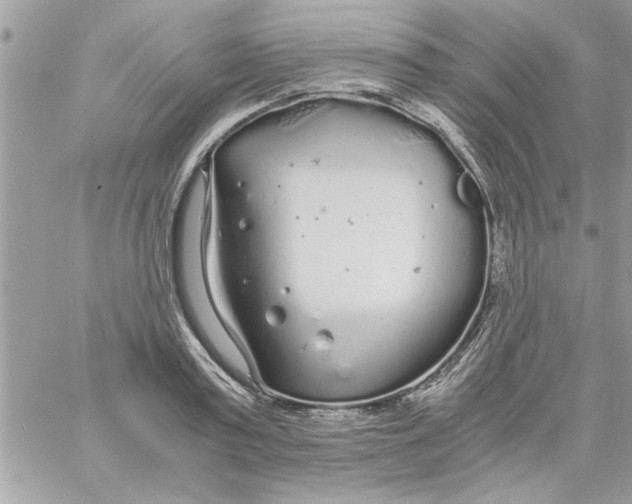 X0000057100795200510071936