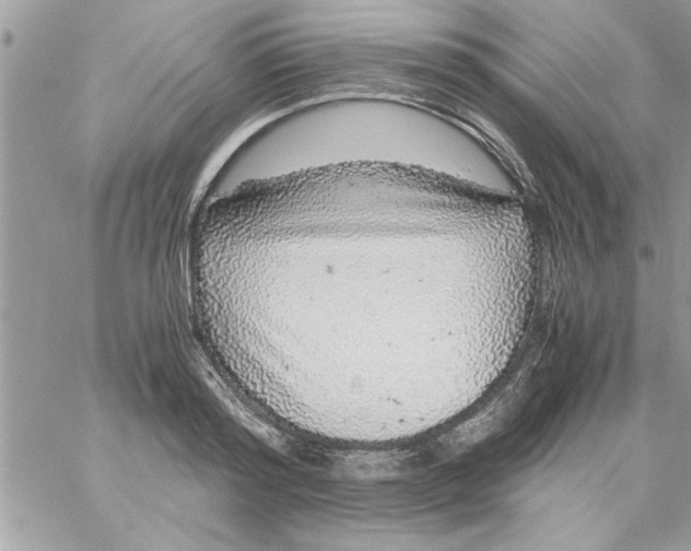 X0000057100796200510071936