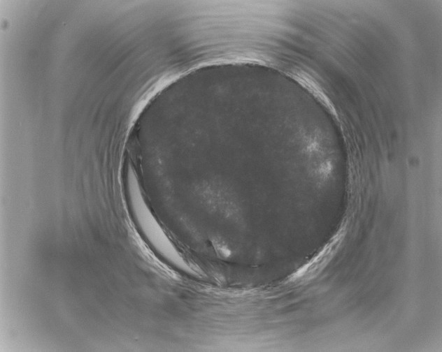 X0000057100797200510071936