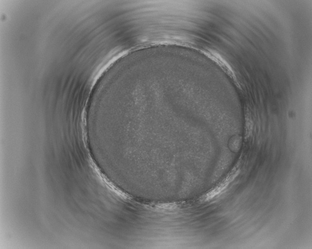 X0000057100798200510071936