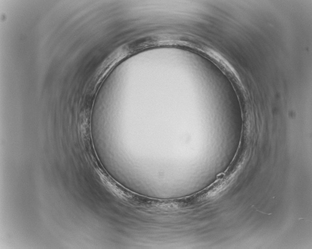 X0000057100801200510071936