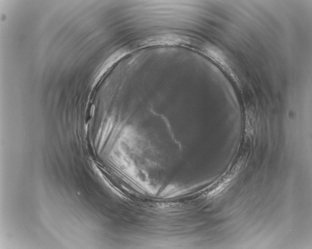 X0000057100802200510071935