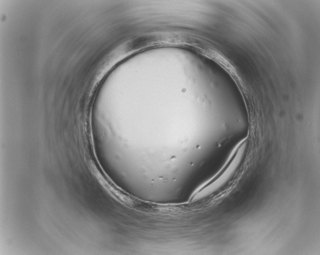 X0000057100803200510071935