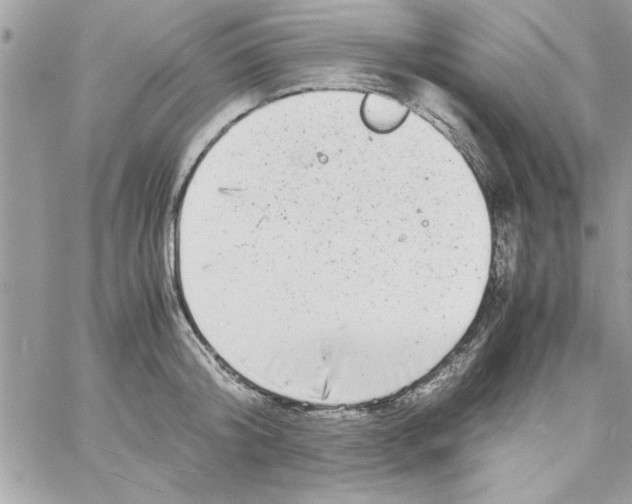 X0000057100804200510071935