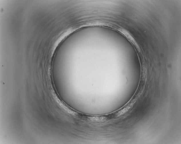 X0000057100805200510071935