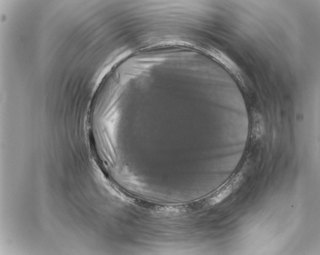 X0000057100806200510071935