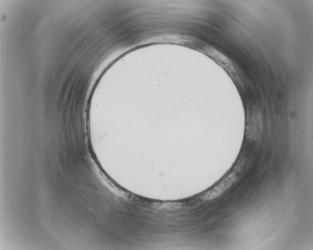 X0000057100808200510071935