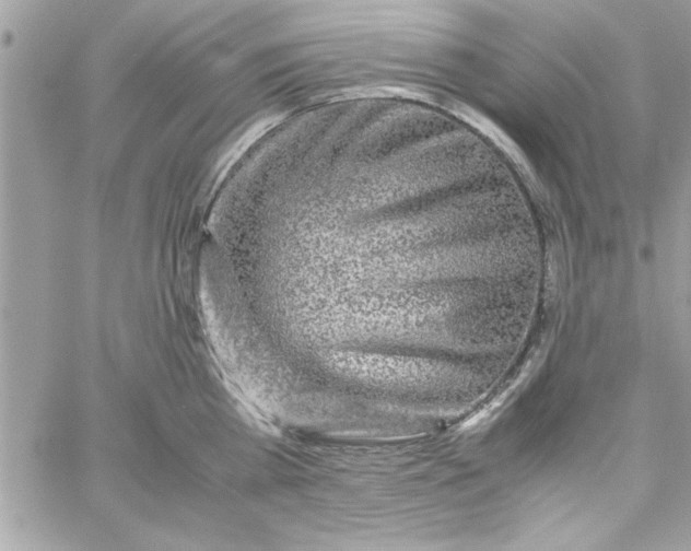 X0000057100809200510071935