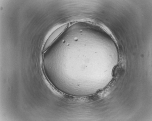 X0000057100811200510071935