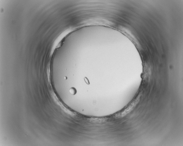 X0000057100812200510071935