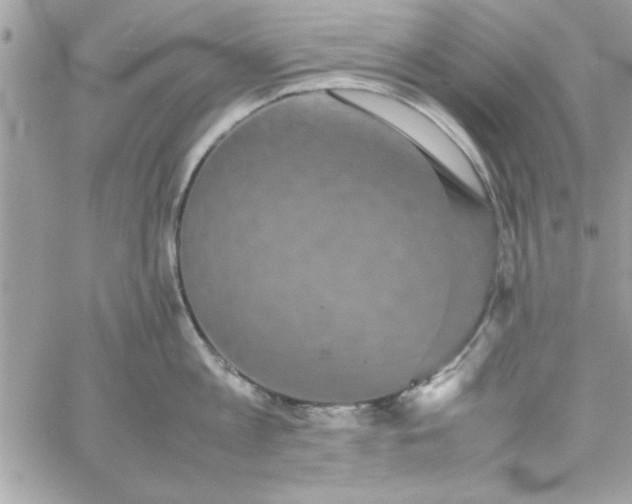 X0000057100813200510071935