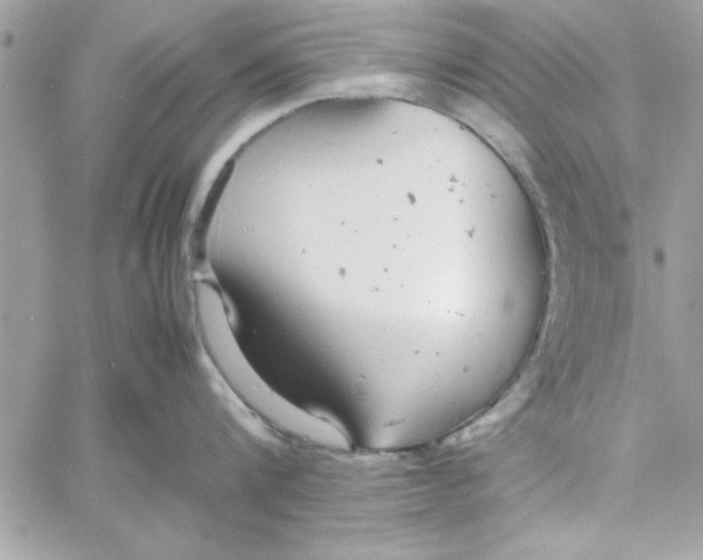 X0000057100816200510071935