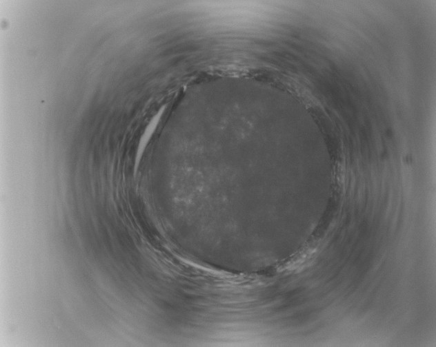 X0000057100818200510071934