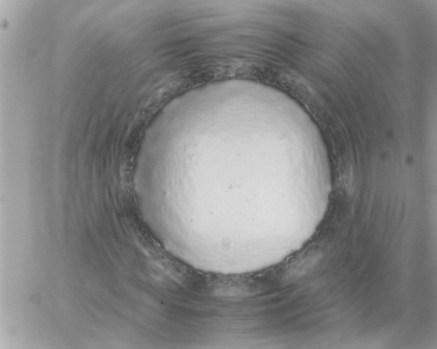 X0000057100819200510071934