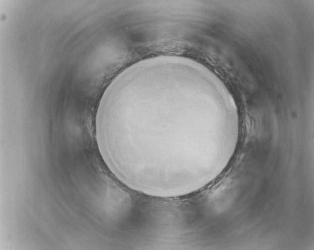 X0000057100820200510071935