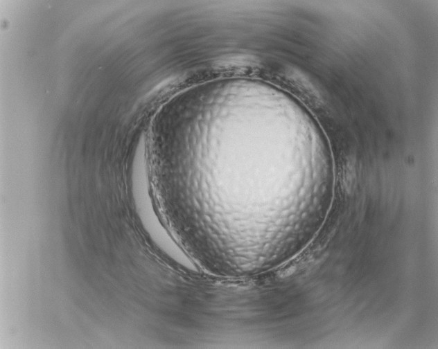 X0000057100821200510071935