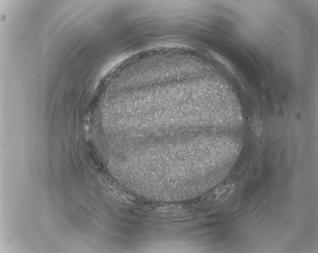 X0000057100823200510071935