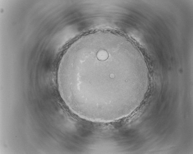 X0000057100824200510071935