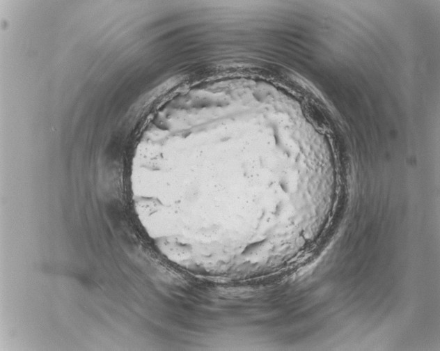 X0000057100825200510071935