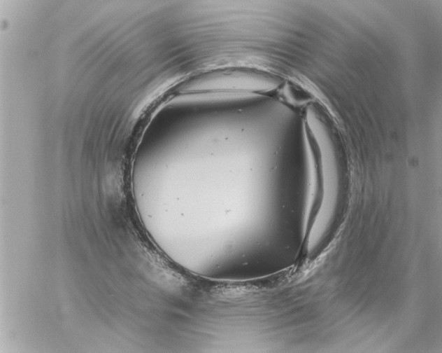 X0000057100826200510071935