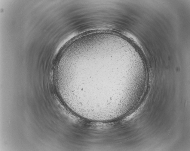 X0000057100827200510071935