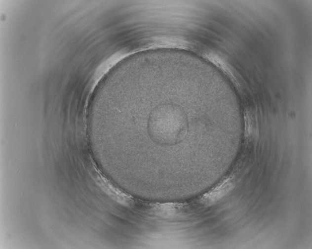 X0000057100828200510071935