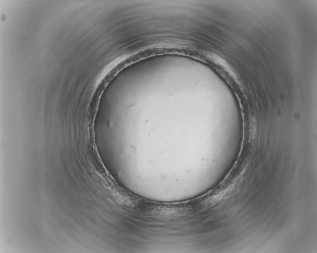 X0000057100829200510071935