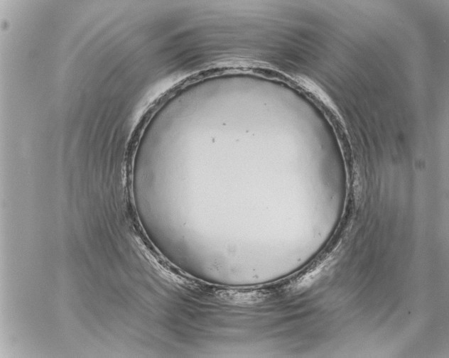 X0000057100831200510071935