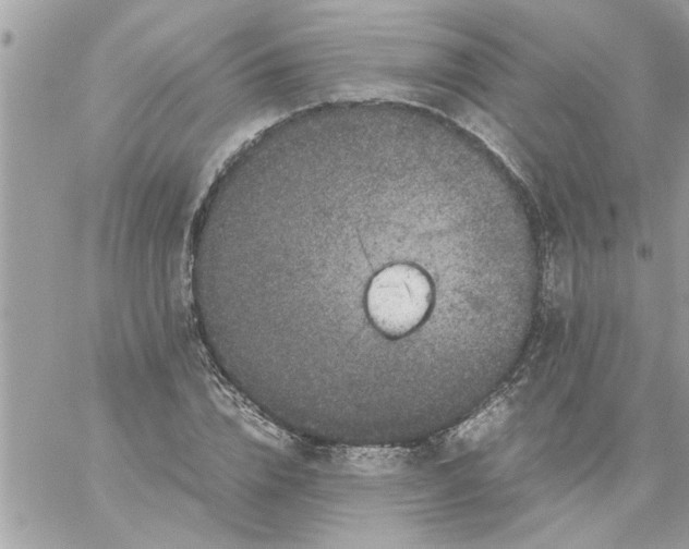 X0000057100832200510071935