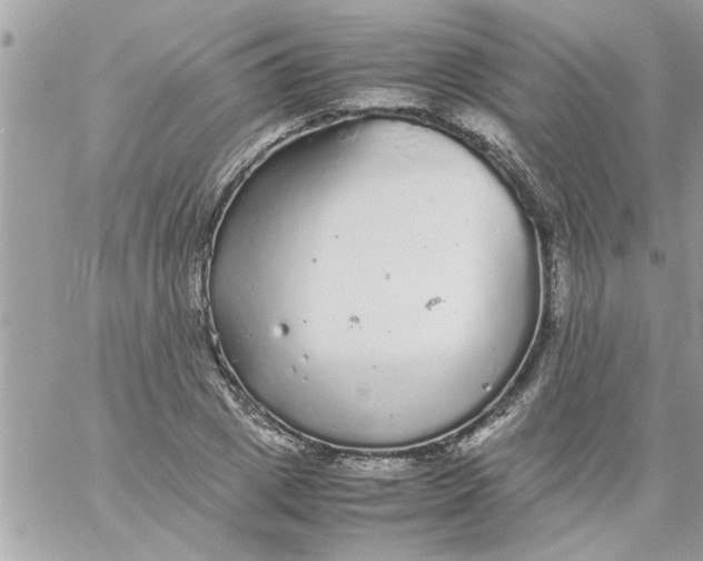 X0000057100833200510071935