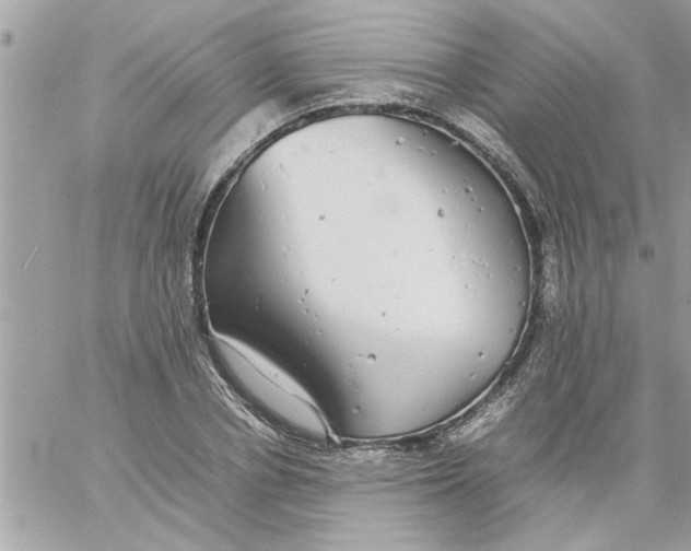 X0000057100834200510071935