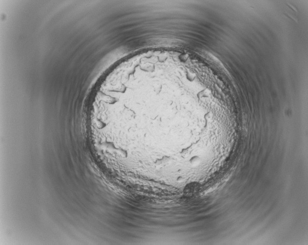 X0000057100835200510071935